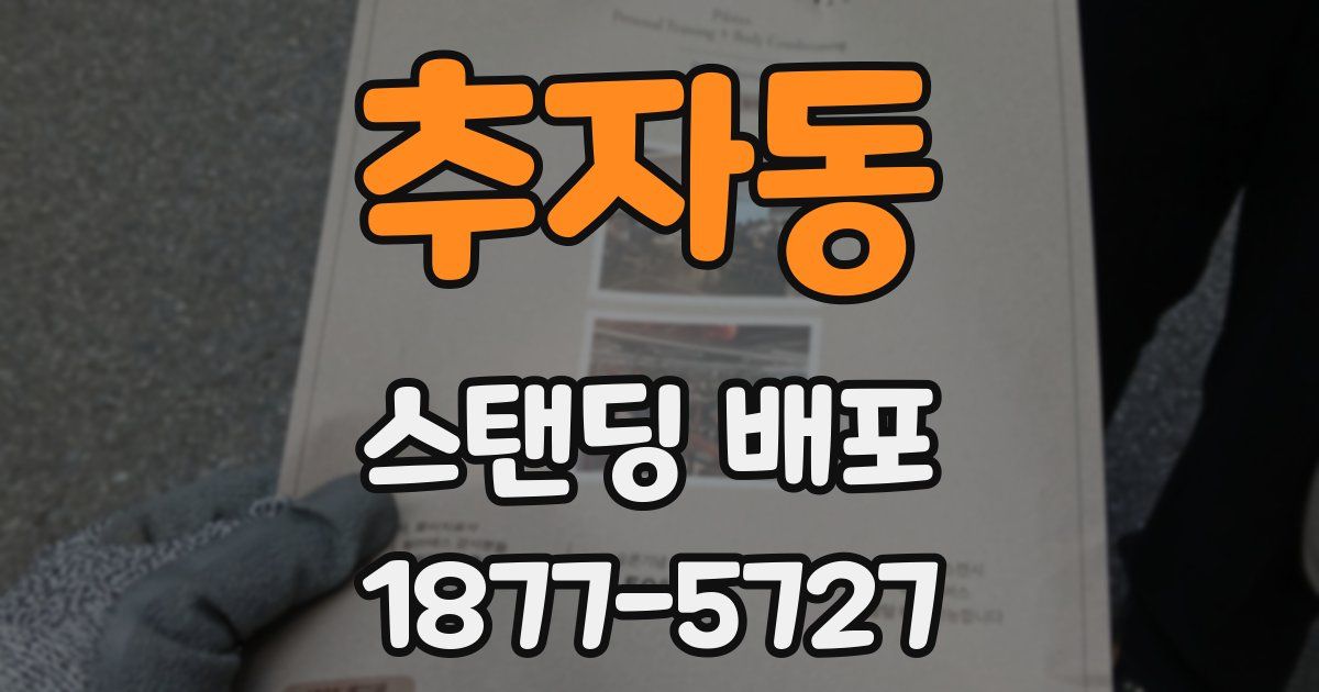 추자동 스탠딩 배포