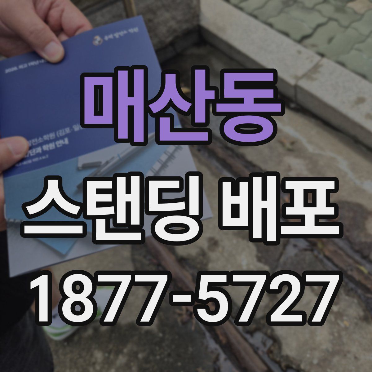 매산동 스탠딩 배포
