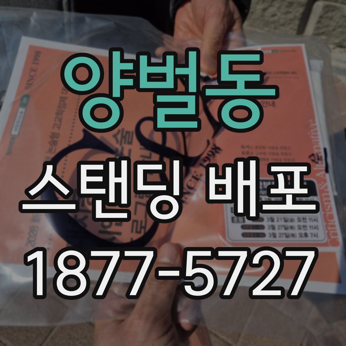 양벌동 스탠딩 배포