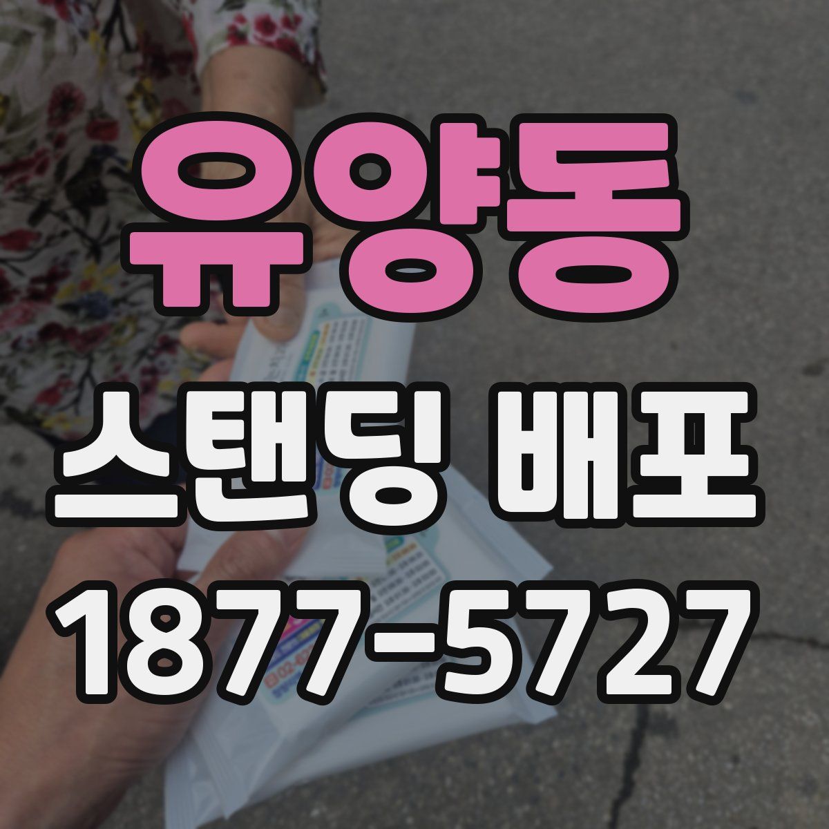 유양동 스탠딩 배포