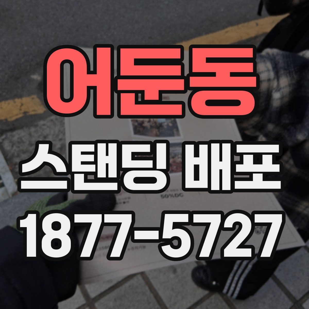 어둔동 스탠딩 배포