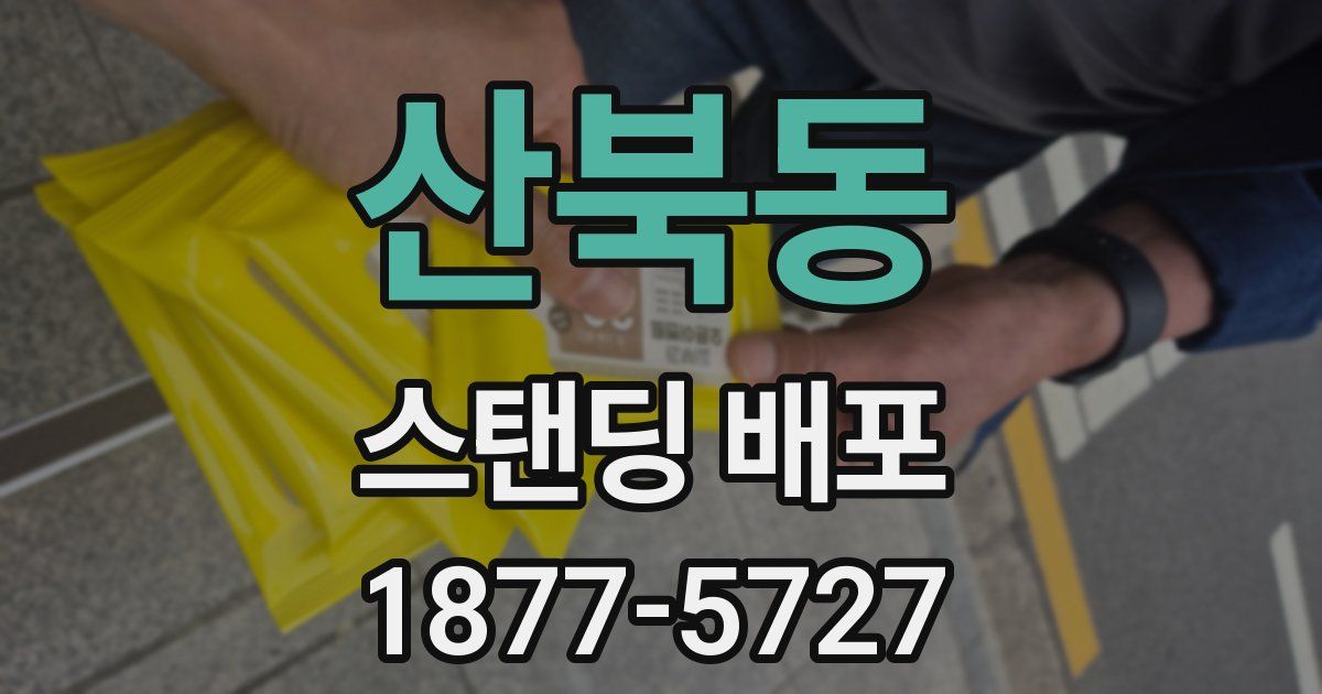 산북동 스탠딩 배포