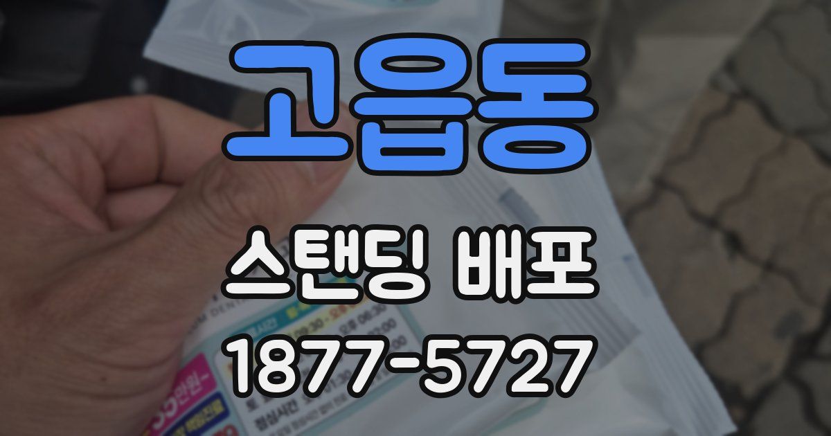 고읍동 스탠딩 배포