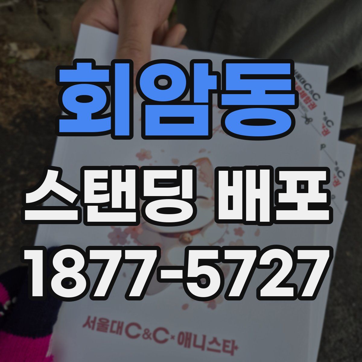 회암동 스탠딩 배포