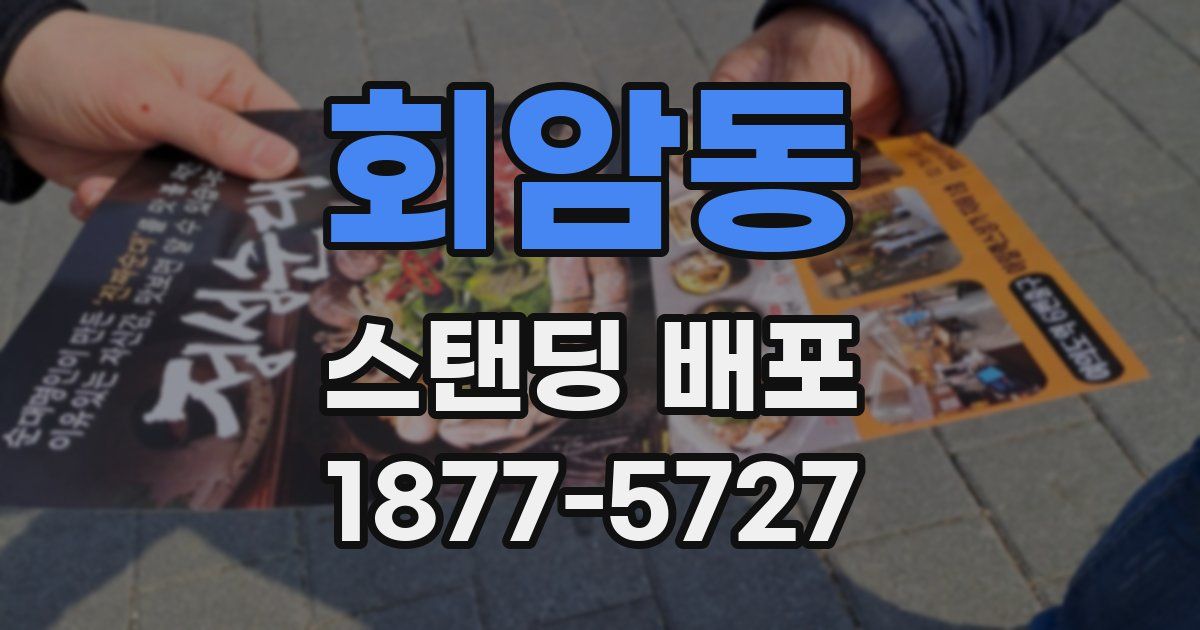 회암동 스탠딩 배포