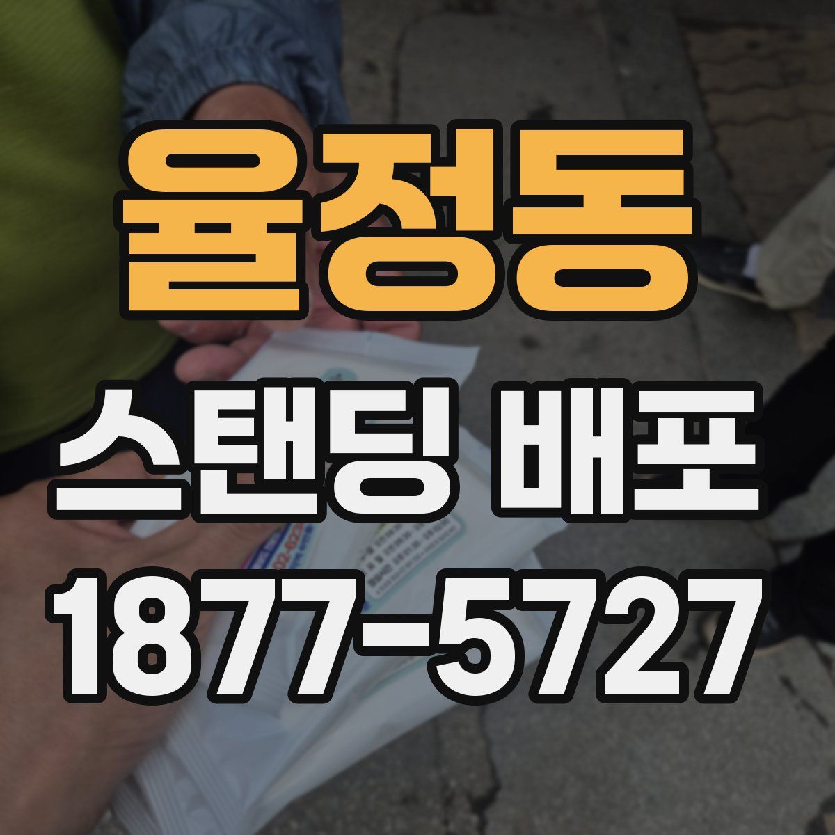 율정동 스탠딩 배포