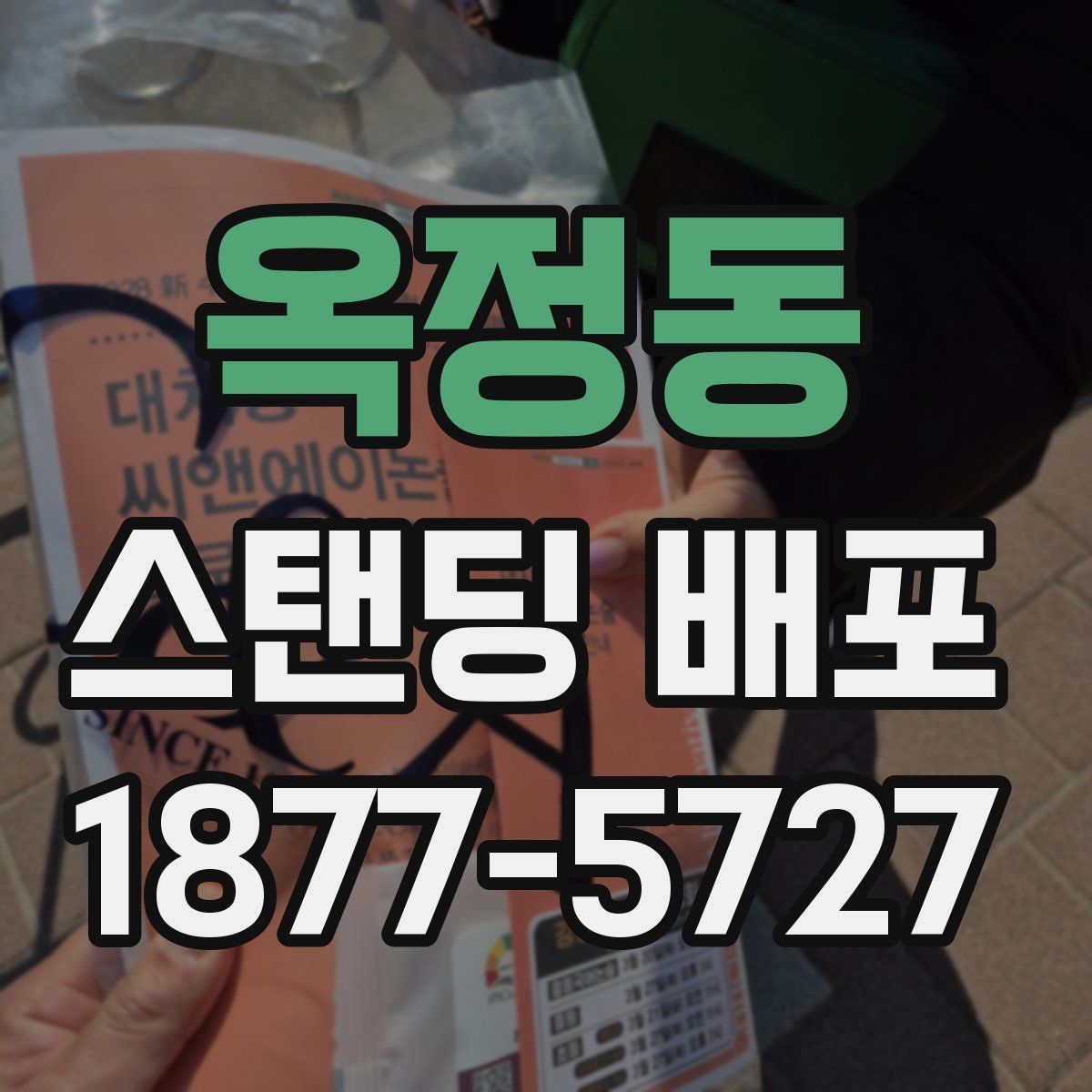 옥정동 스탠딩 배포