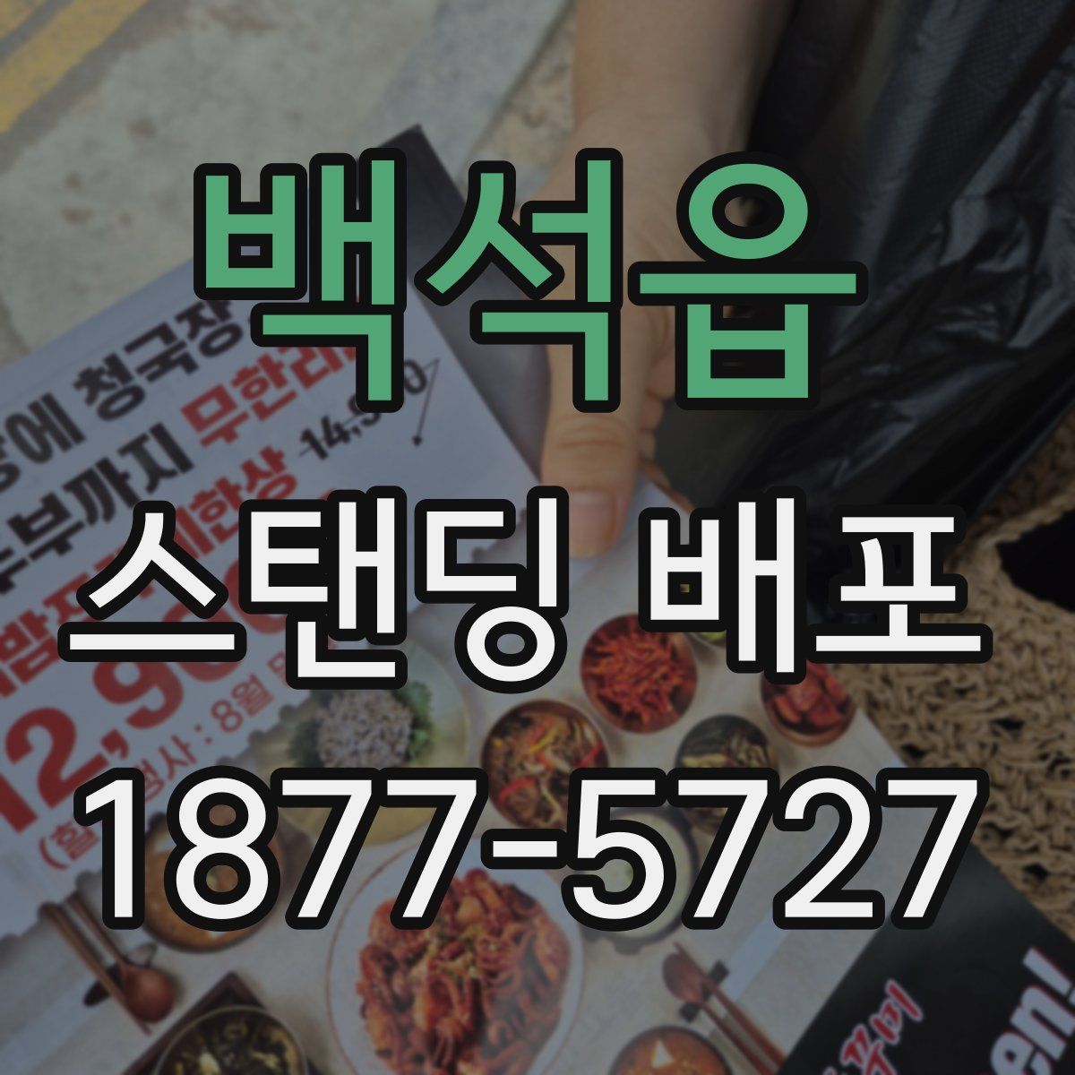 백석읍 스탠딩 배포