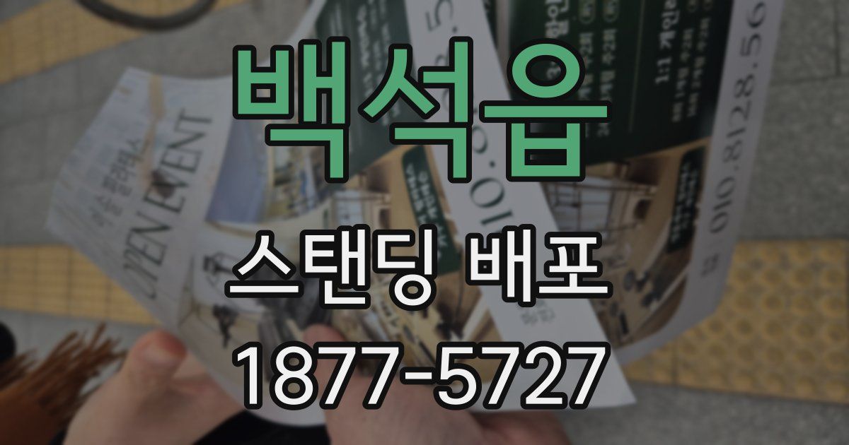 백석읍 스탠딩 배포