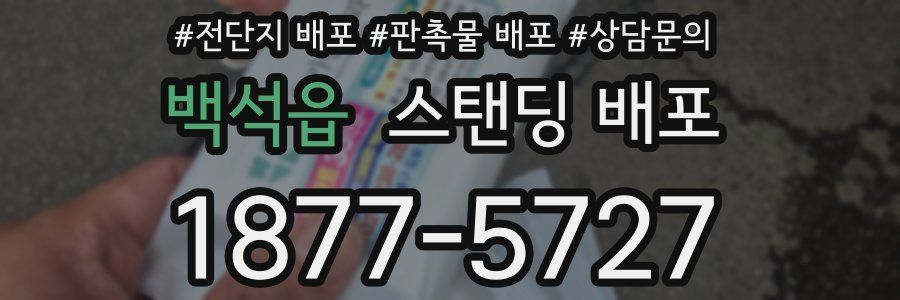 백석읍 스탠딩 배포