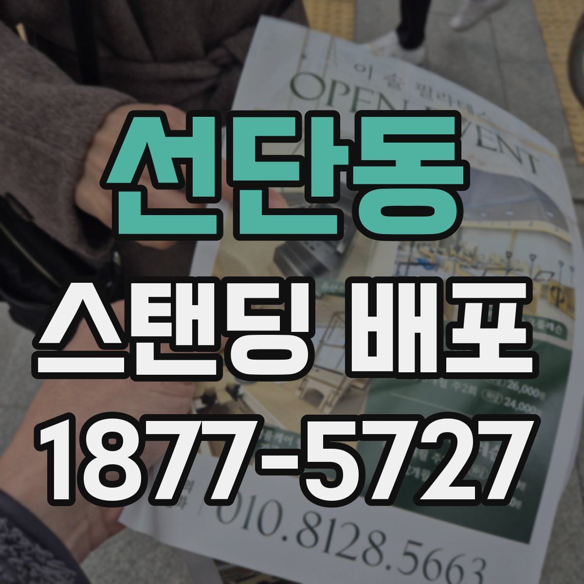 선단동 스탠딩 배포