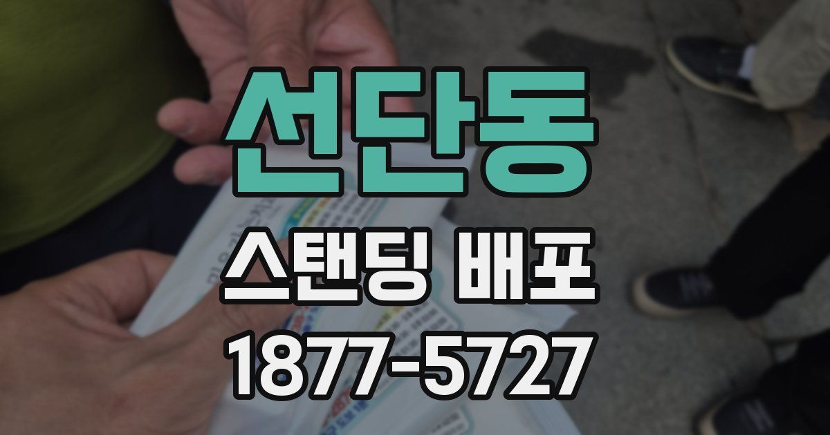 선단동 스탠딩 배포