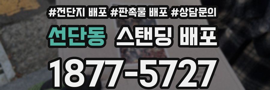 선단동 스탠딩 배포