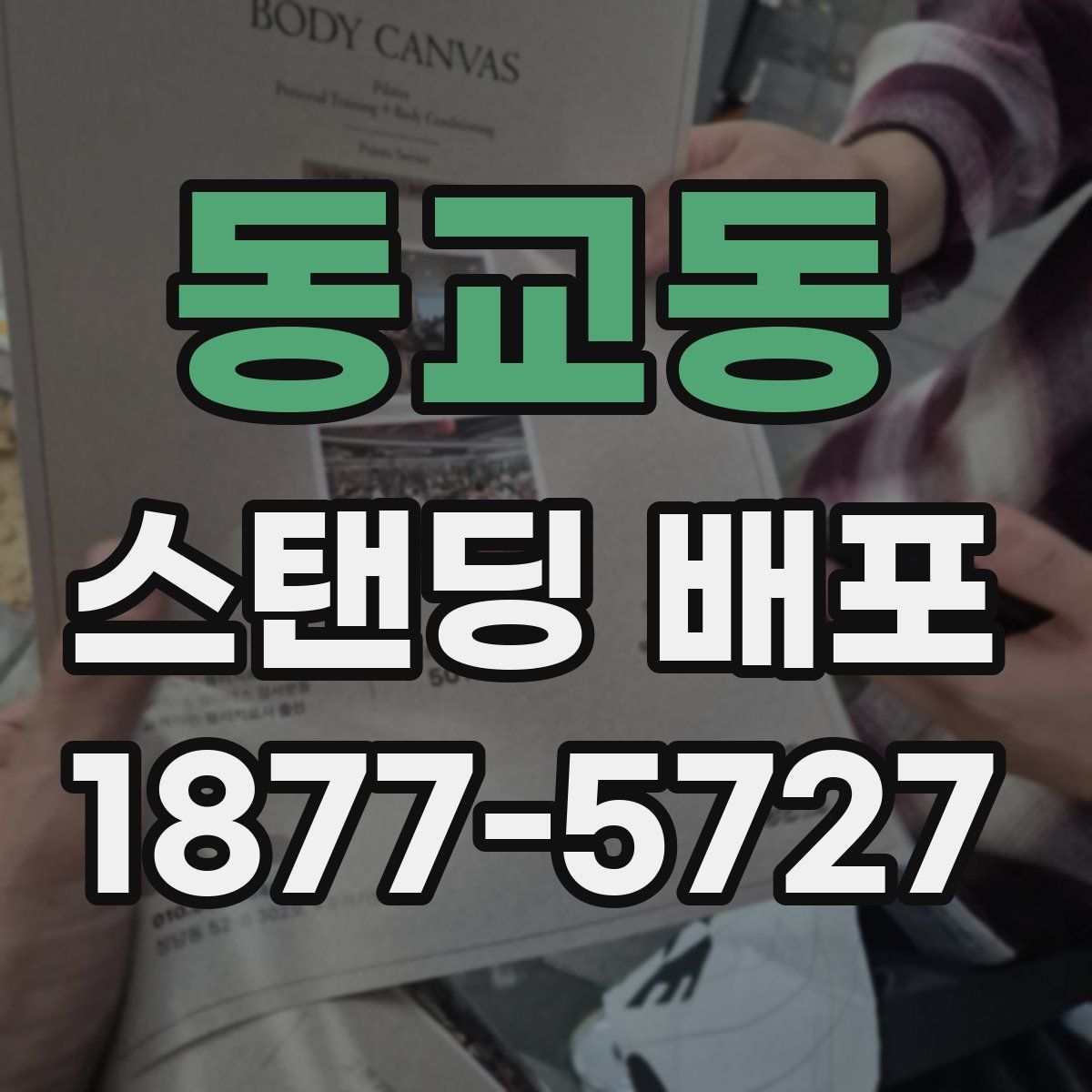 동교동 스탠딩 배포