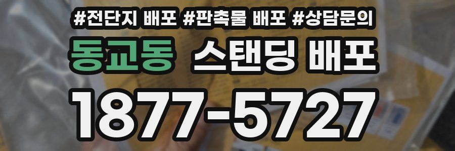 동교동 스탠딩 배포