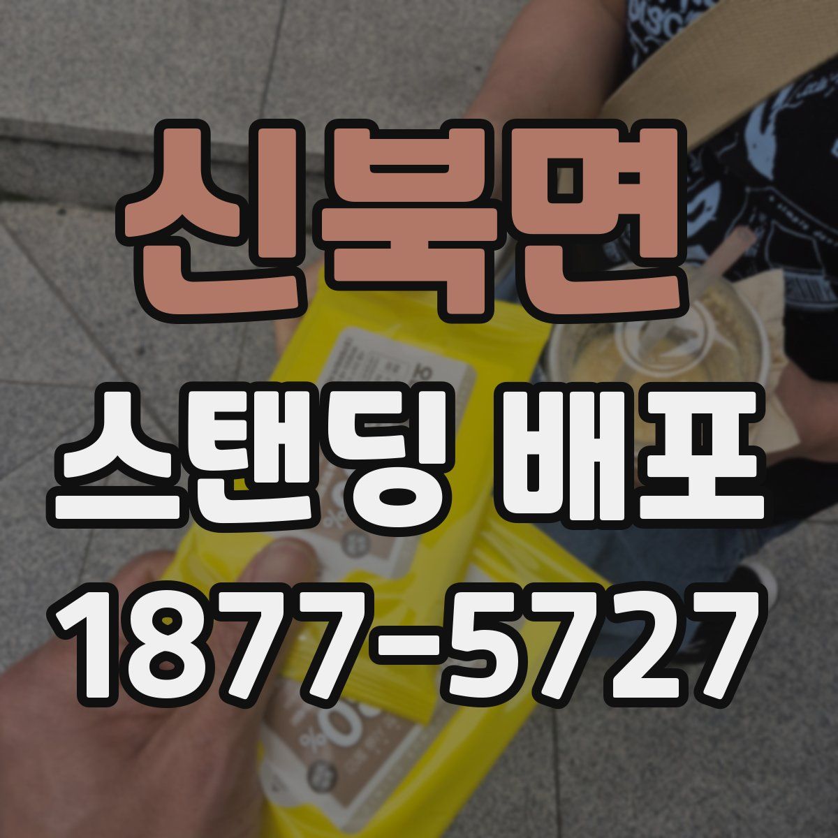 신북면 스탠딩 배포