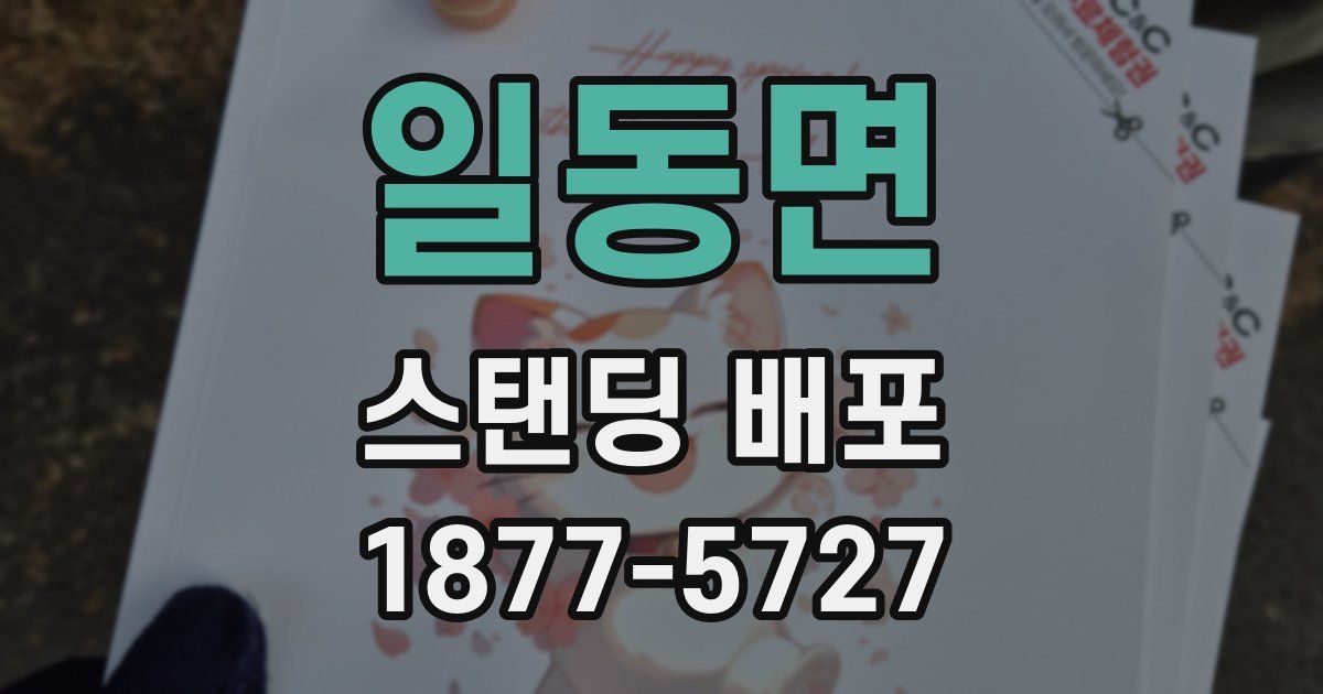 일동면 스탠딩 배포