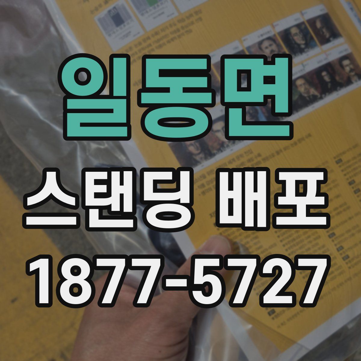 일동면 스탠딩 배포