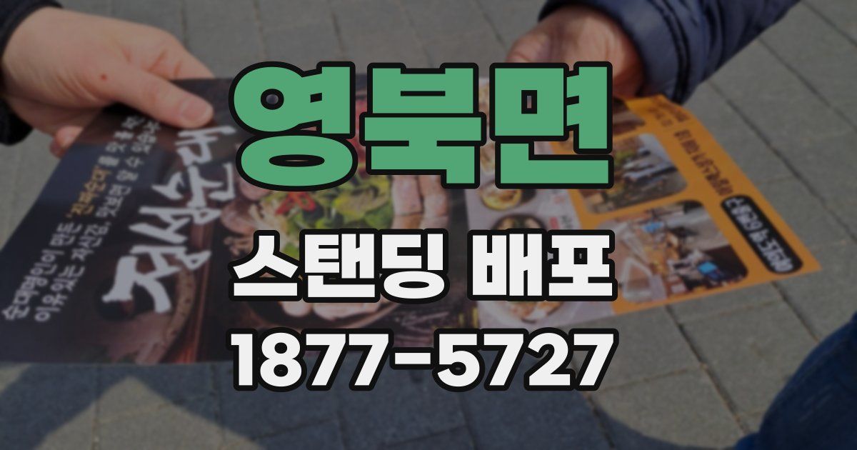 영북면 스탠딩 배포