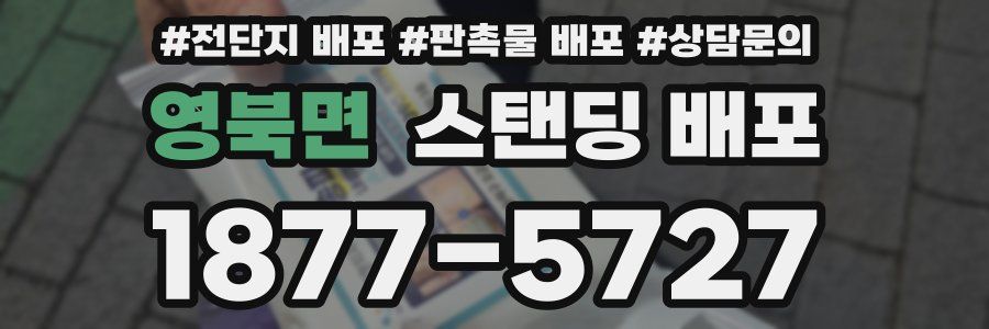 영북면 스탠딩 배포