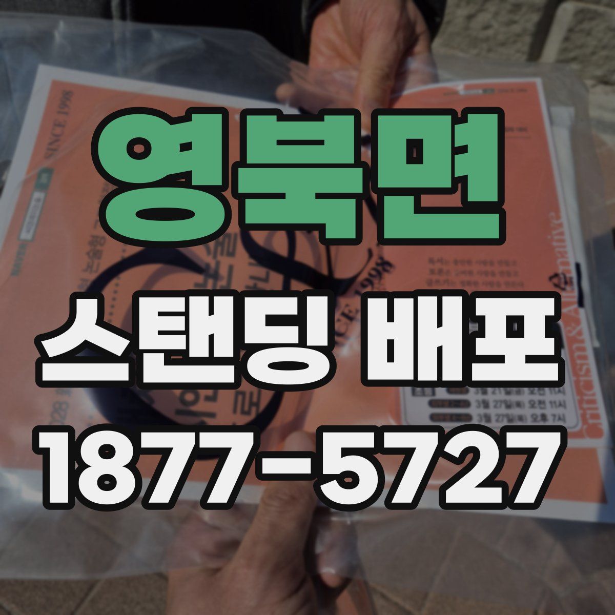 영북면 스탠딩 배포