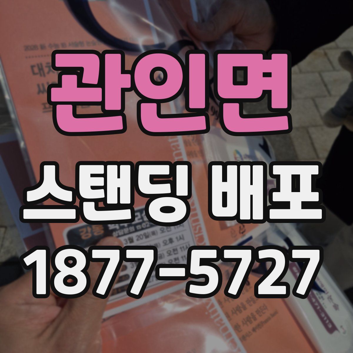 관인면 스탠딩 배포