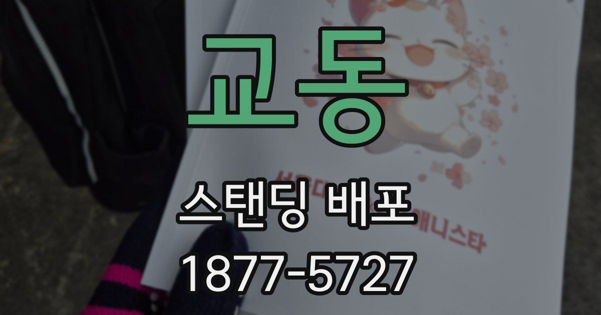 교동 스탠딩 배포