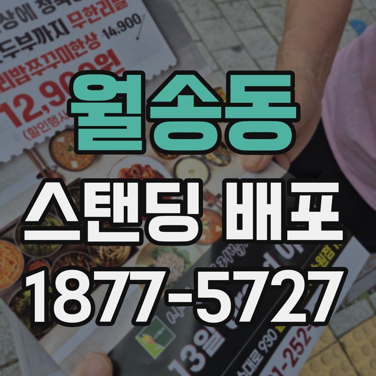 월송동 스탠딩 배포