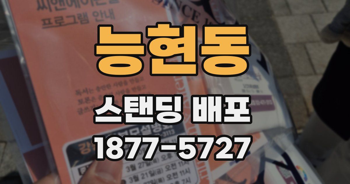 능현동 스탠딩 배포