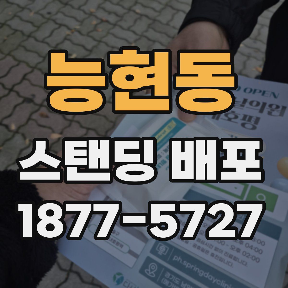 능현동 스탠딩 배포