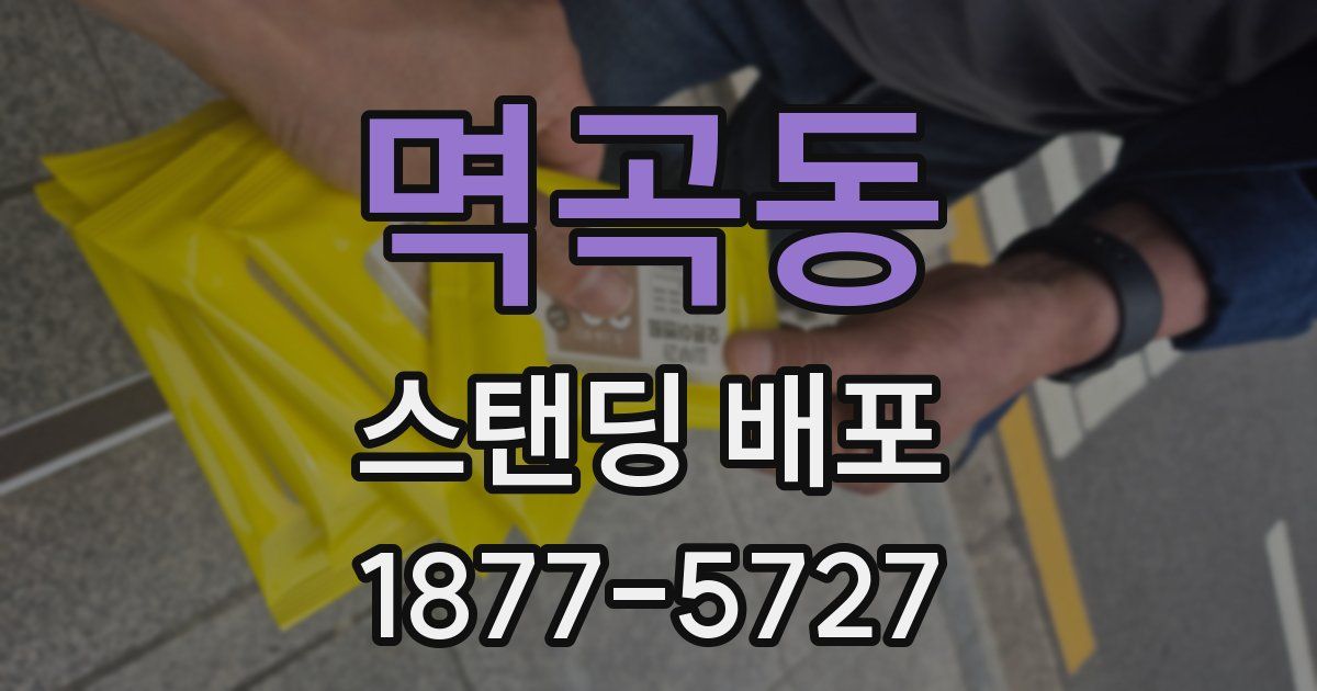 멱곡동 스탠딩 배포