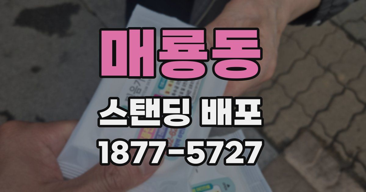 매룡동 스탠딩 배포
