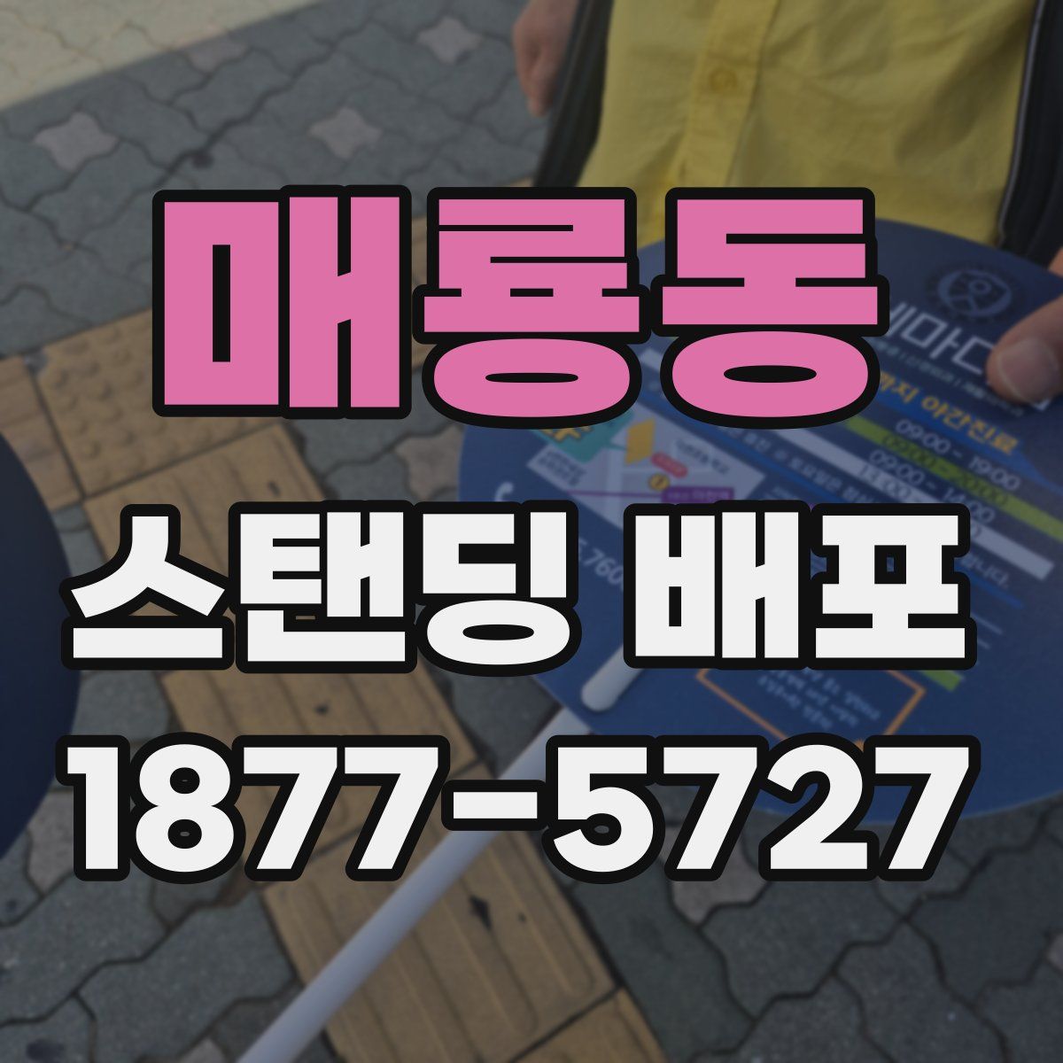 매룡동 스탠딩 배포