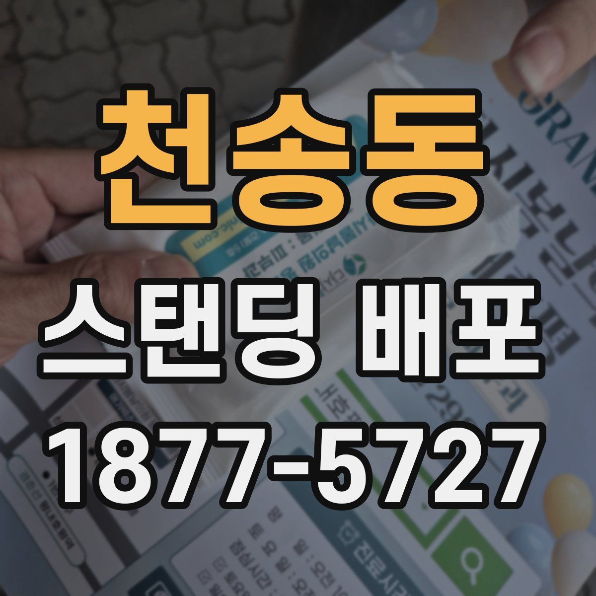 천송동 스탠딩 배포