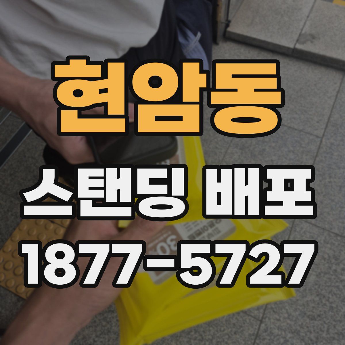 현암동 스탠딩 배포