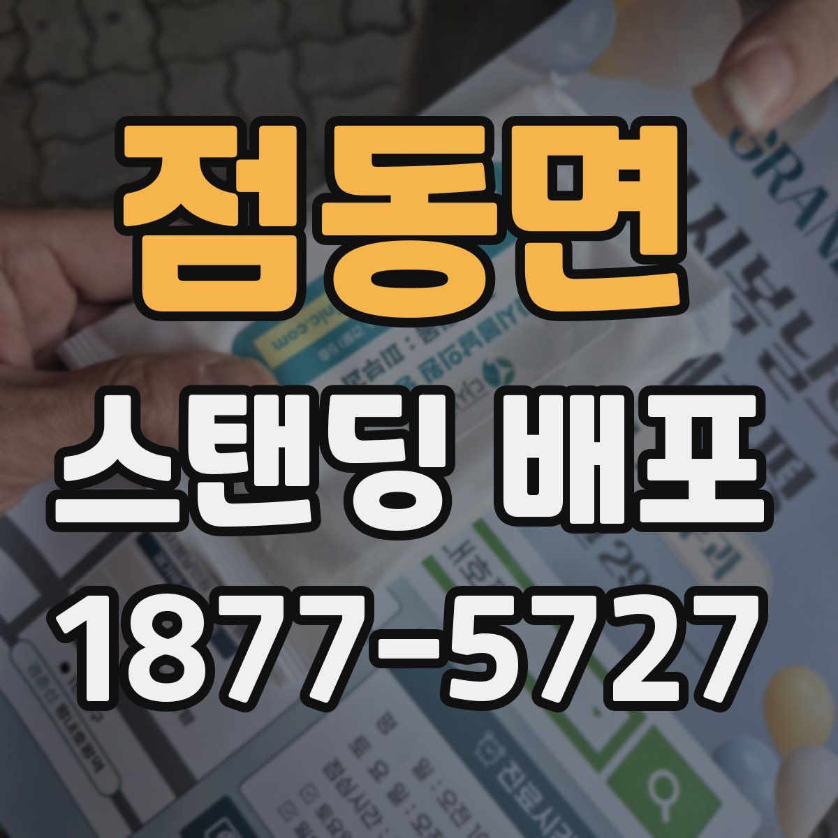 점동면 스탠딩 배포