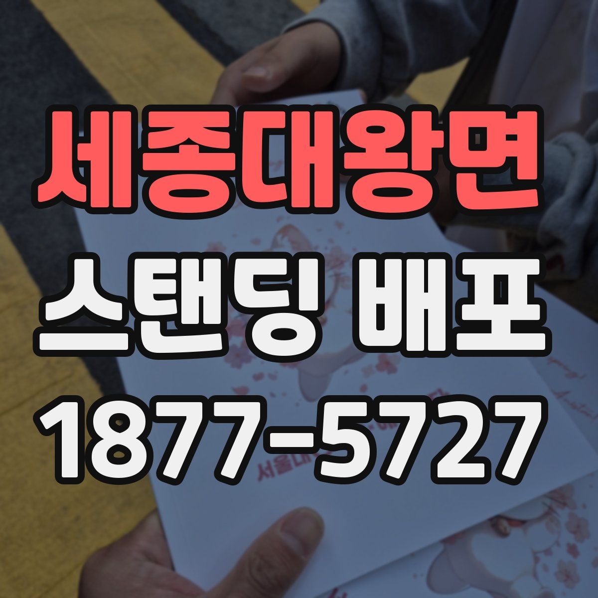 세종대왕면 스탠딩 배포