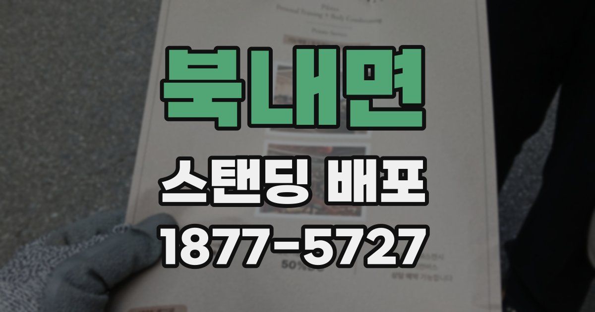 북내면 스탠딩 배포