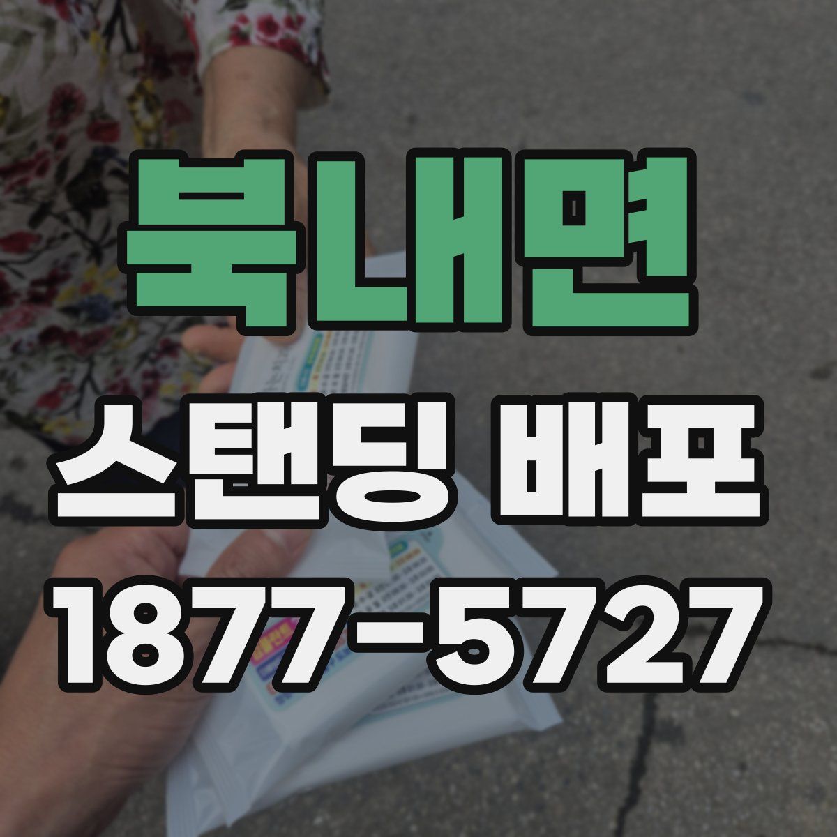 북내면 스탠딩 배포