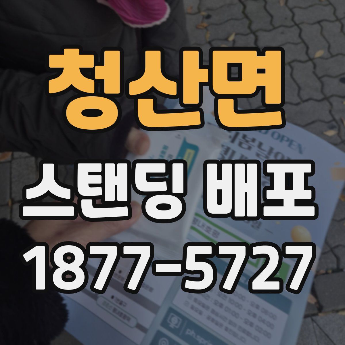 청산면 스탠딩 배포