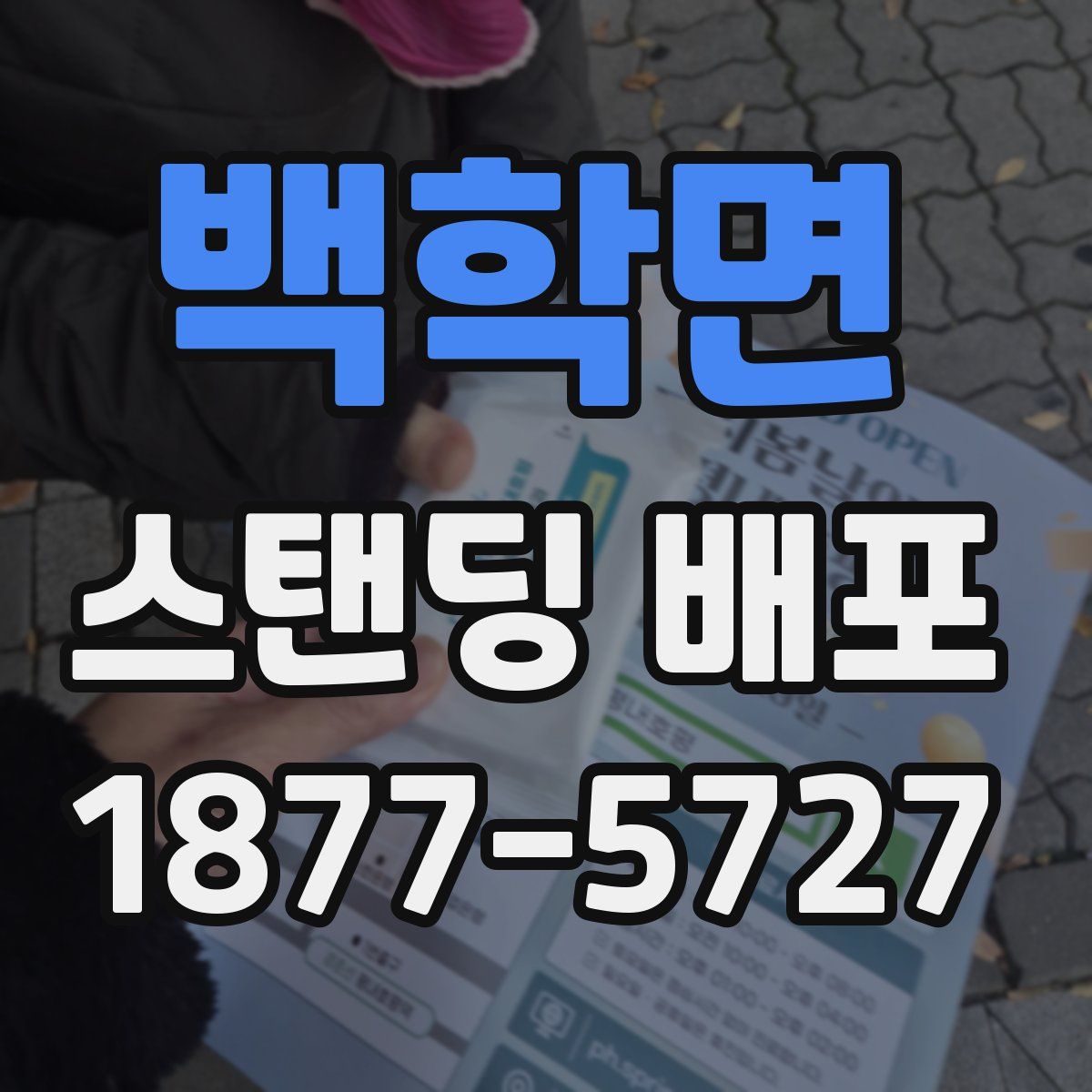 백학면 스탠딩 배포