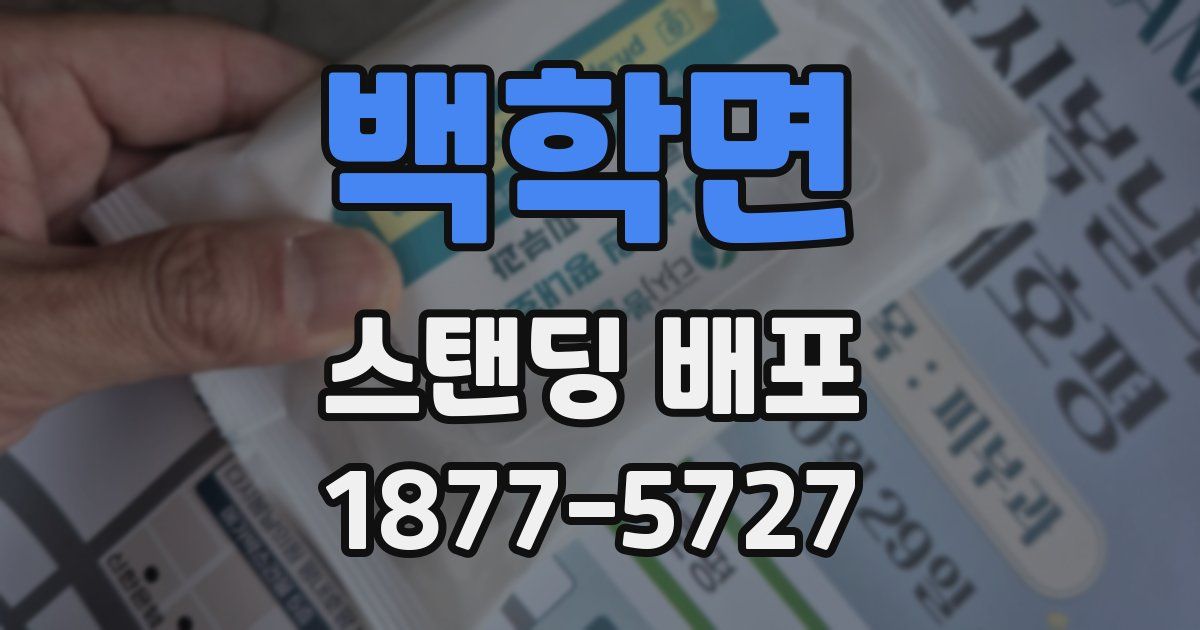 백학면 스탠딩 배포