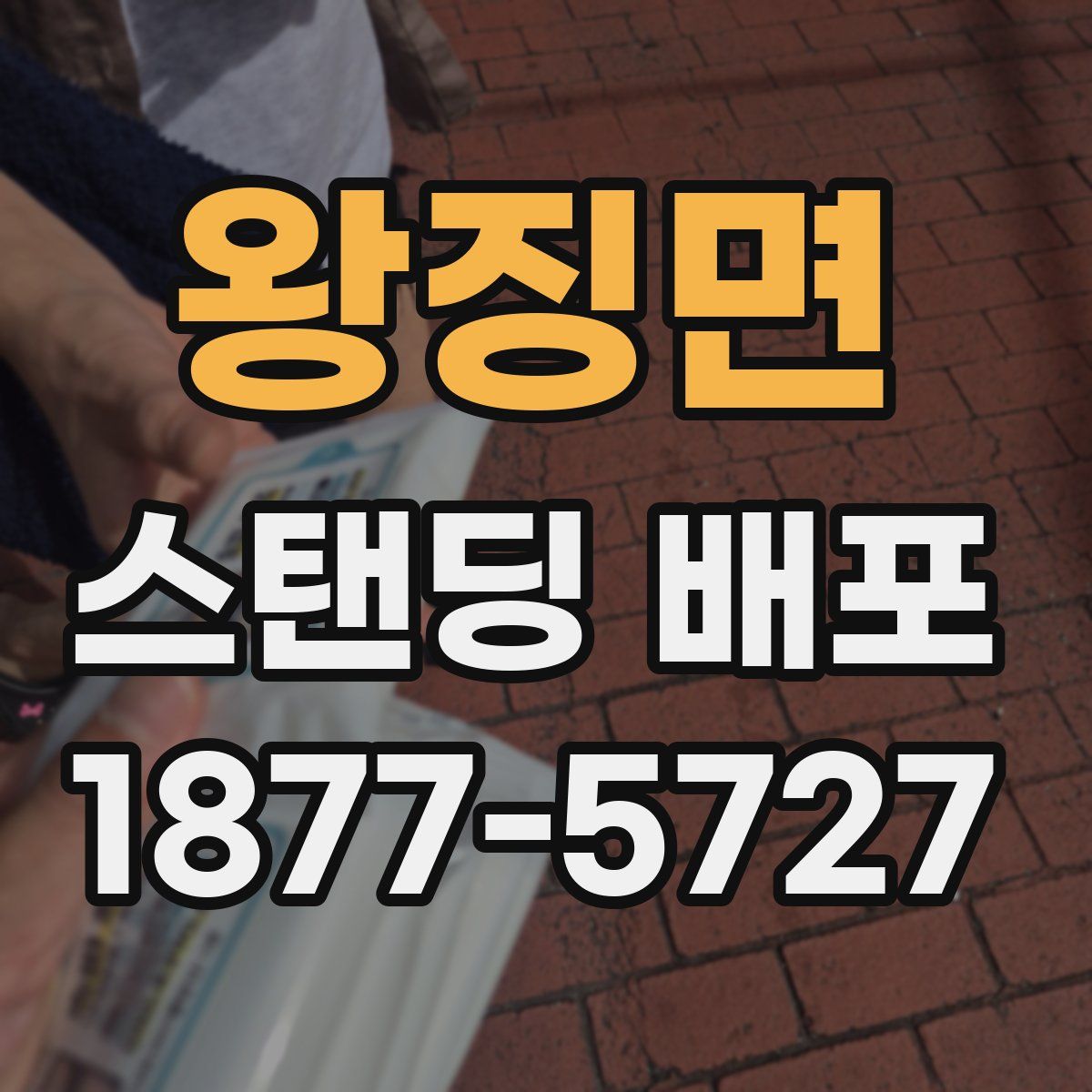 왕징면 스탠딩 배포