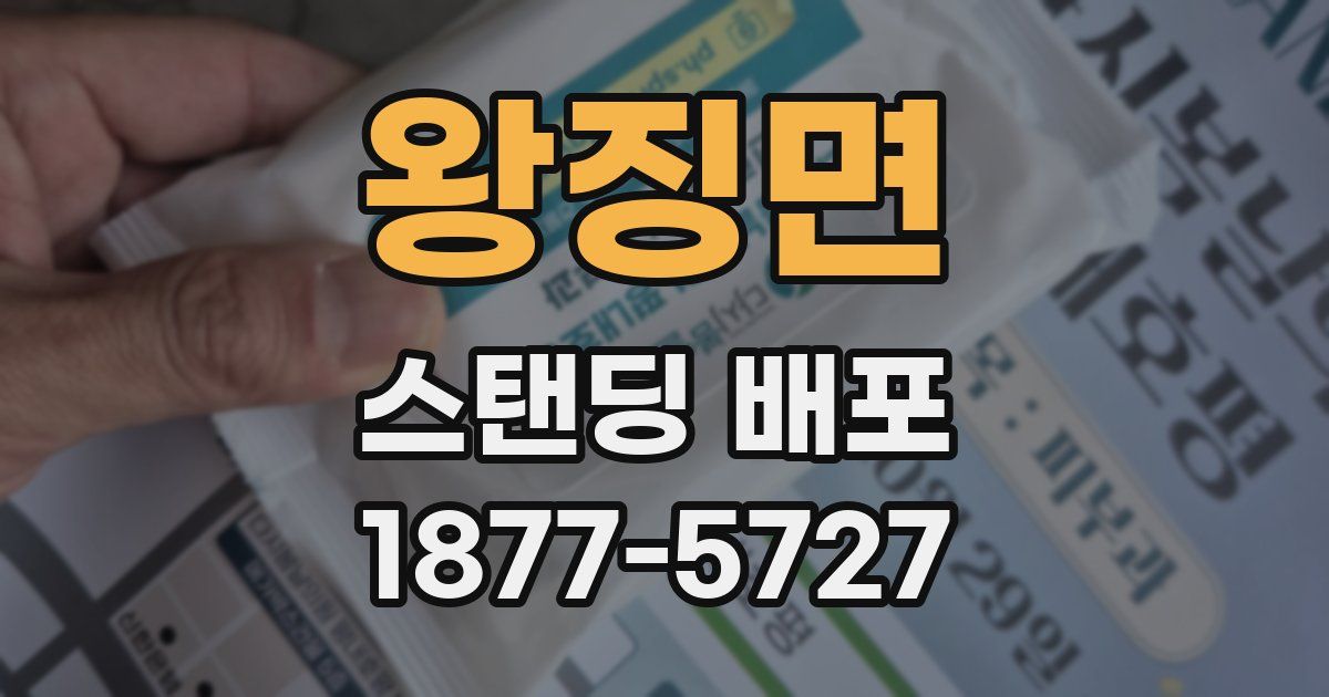 왕징면 스탠딩 배포