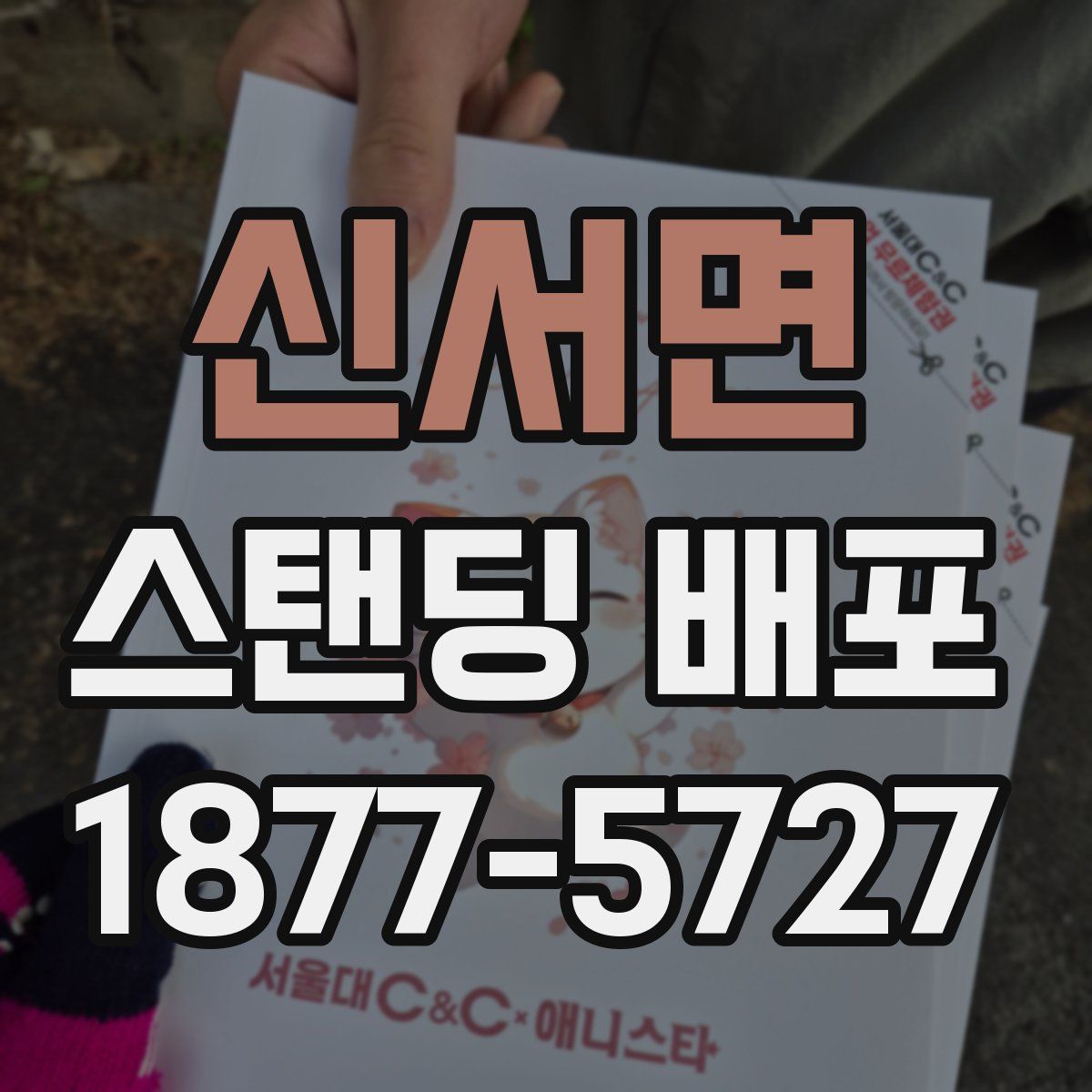 신서면 스탠딩 배포