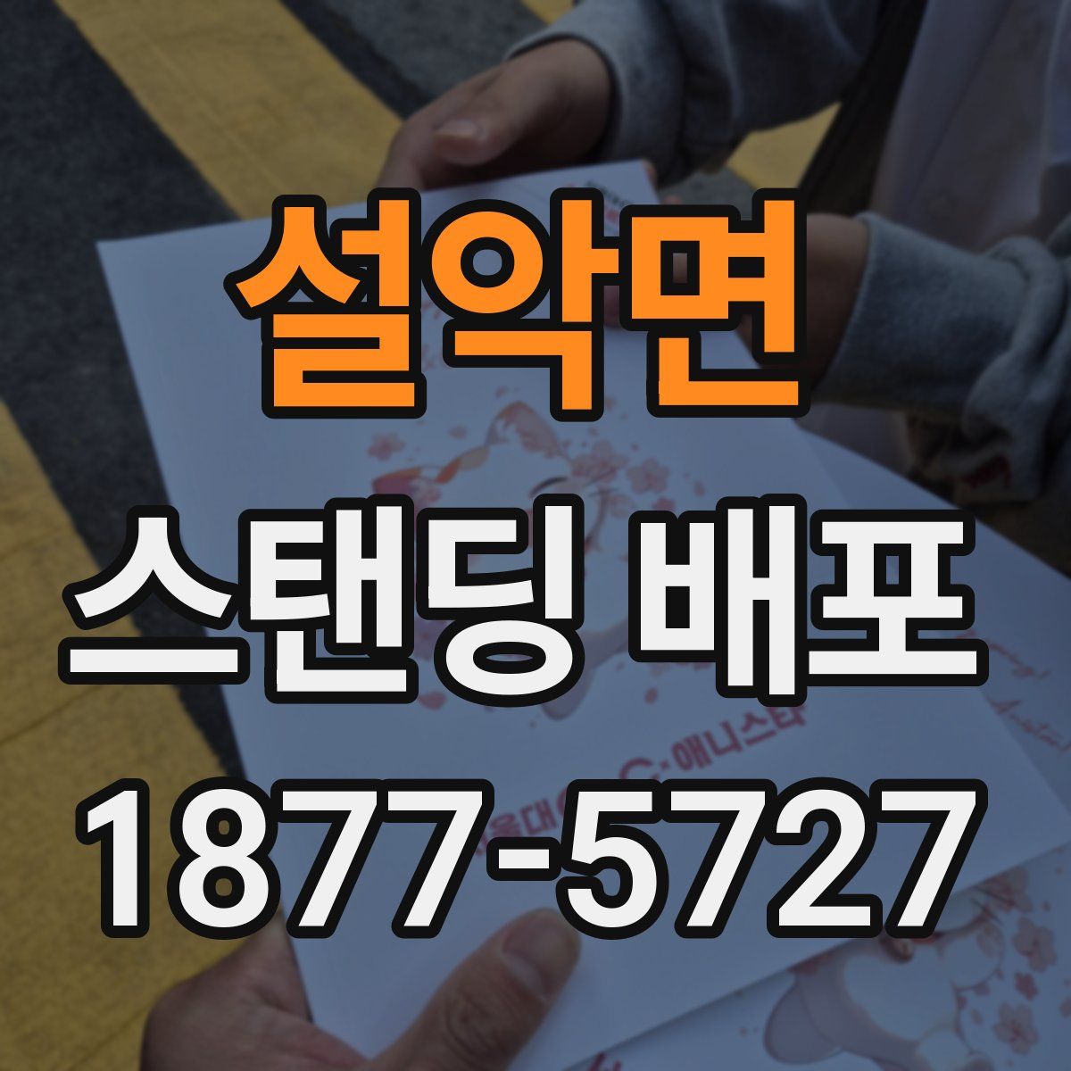 설악면 스탠딩 배포