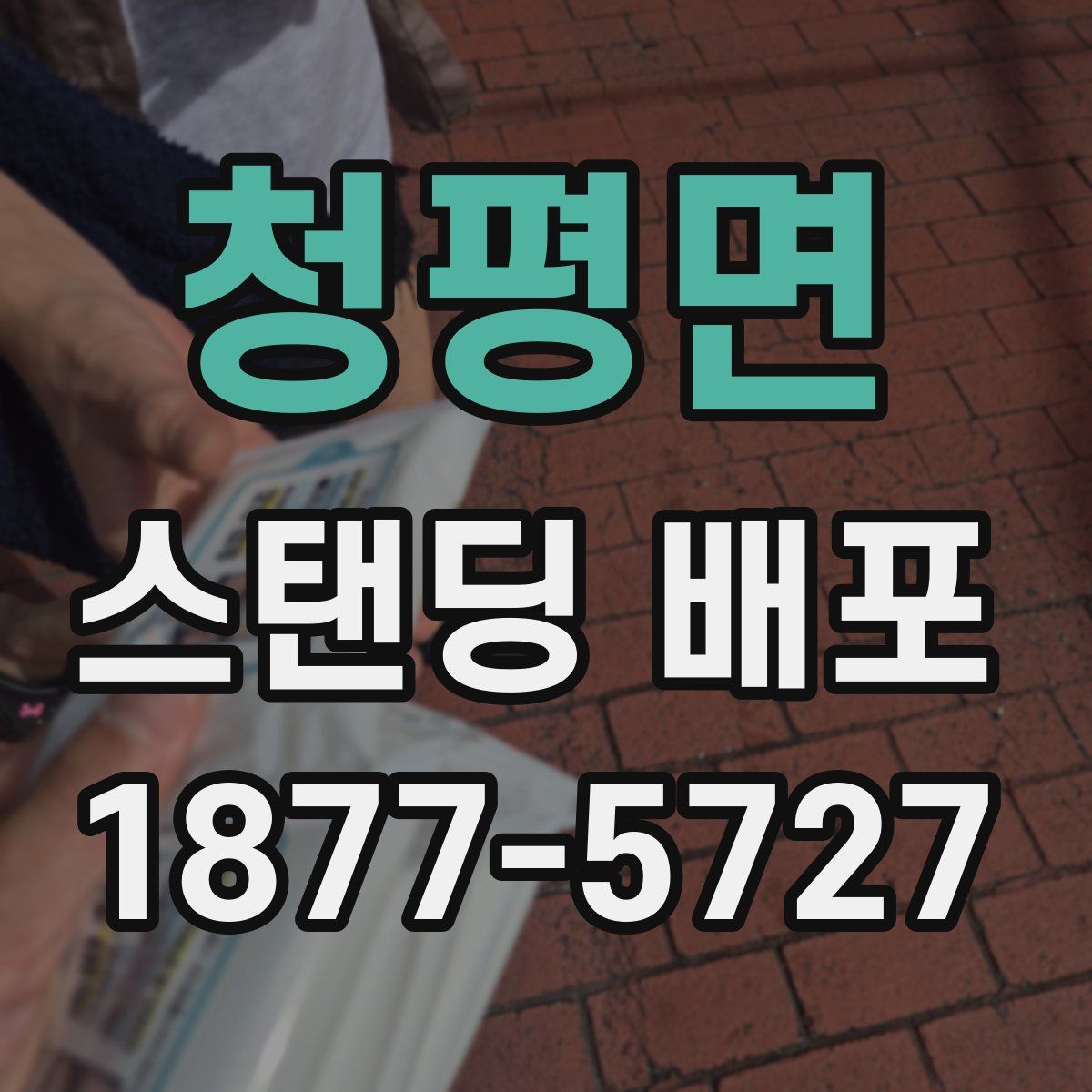 청평면 스탠딩 배포