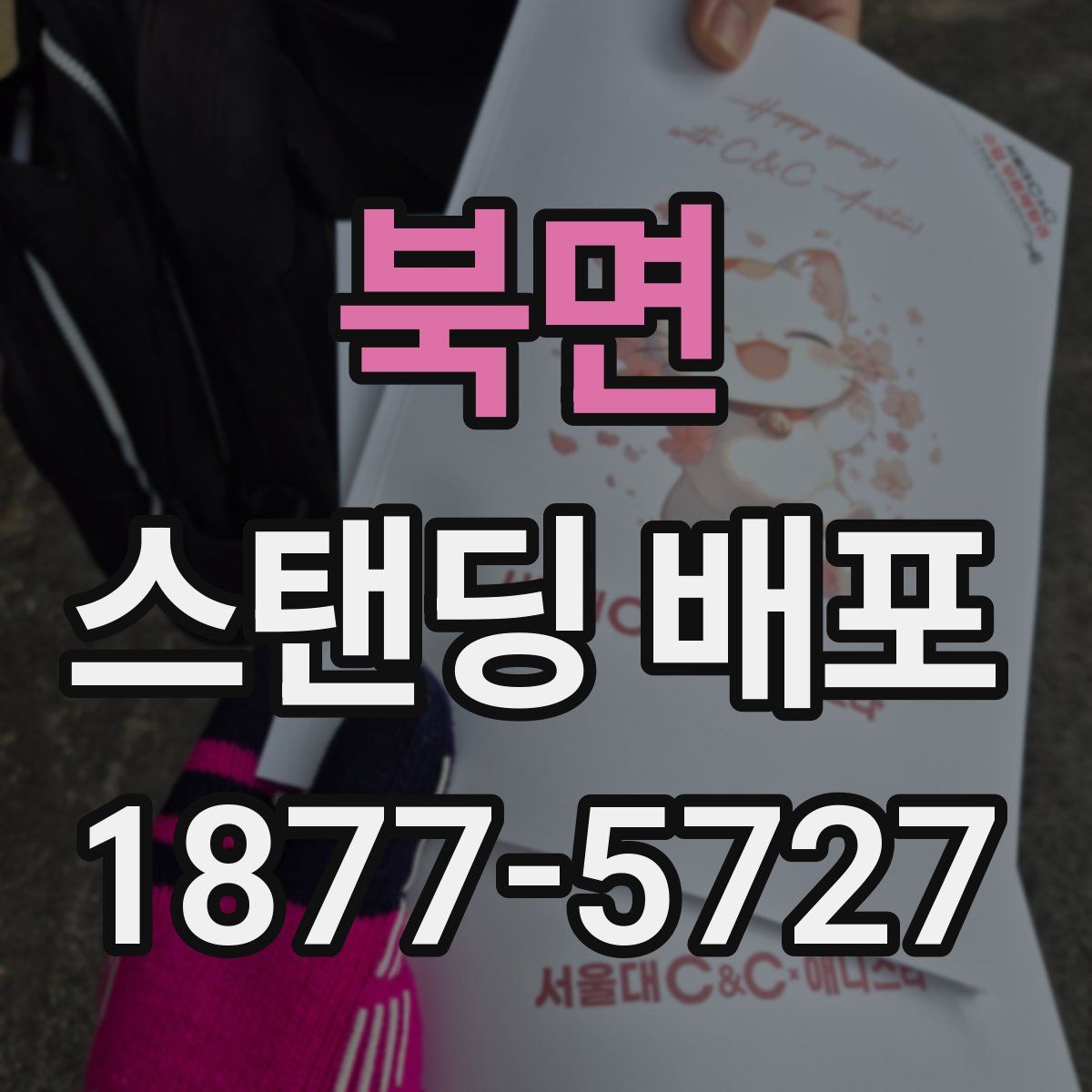 북면 스탠딩 배포
