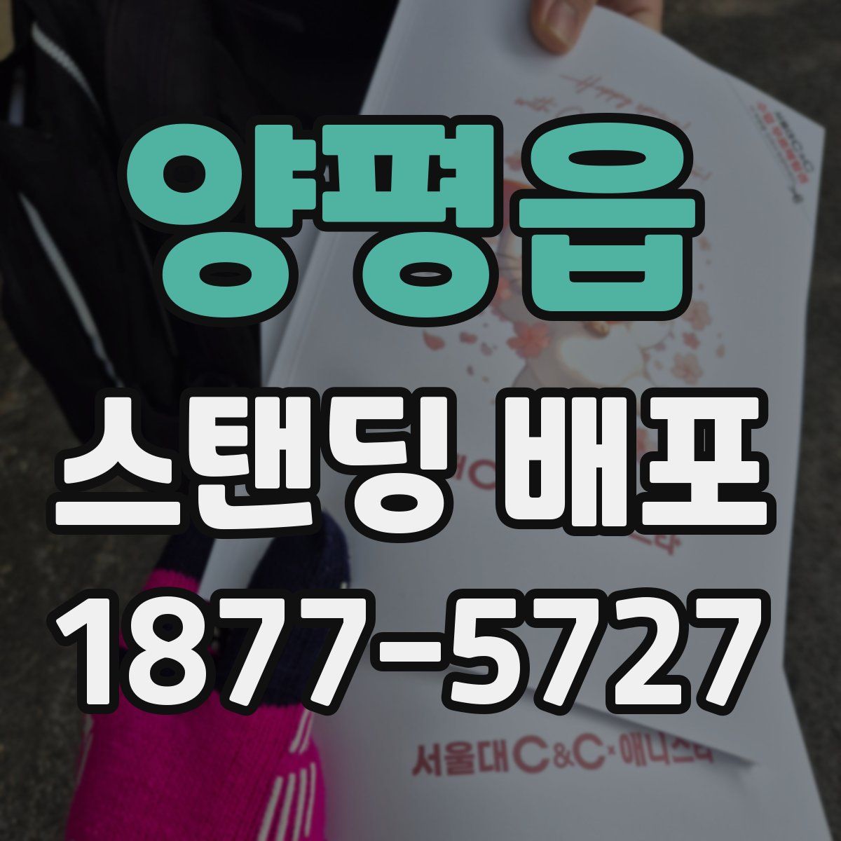 양평읍 스탠딩 배포