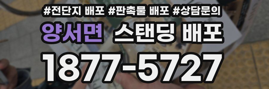 양서면 스탠딩 배포